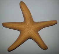 /album/fotogaleria/a20130928-194555-jpg/