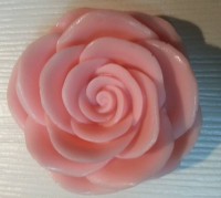 /album/fotogaleria/a1379526-10151677729402797-1674647276-n-jpg/