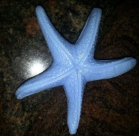 /album/fotogaleria/a1014452-10151677754647797-1897445028-n-jpg/