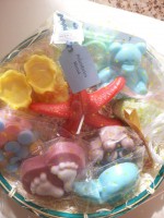 /album/fotogaleria/a1381452-10151701621767797-2062909932-n-jpg/