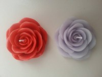 /album/fotogaleria/a1384237-10151701621907797-1936975783-n-jpg/