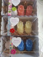 /album/fotogaleria/a1383842-723901424304755-1566003044-n-jpg/